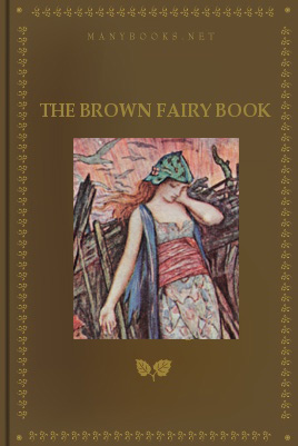 Cover of The Brown Fairy Book