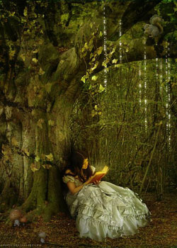 Cover of The Child That Went With The Fairies