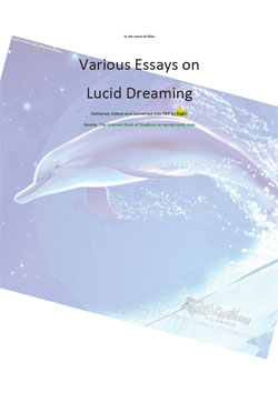 Various Essays On Lucid Dreaming